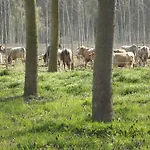 Agriturismo Cascina Nuova Valenza