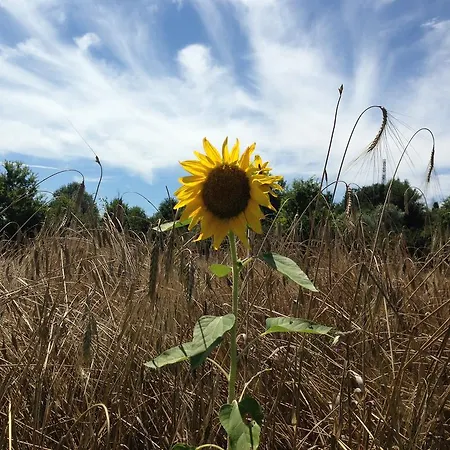 Agriturismo Cascina Nuova Vakantieboerderij