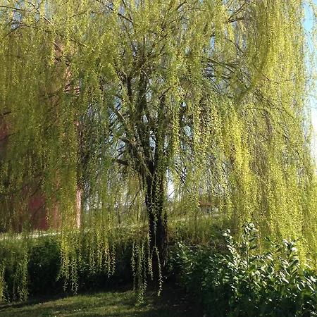 Agriturismo Cascina Nuova *