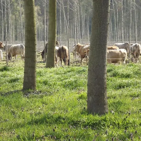Agriturismo Cascina Nuova Valenza