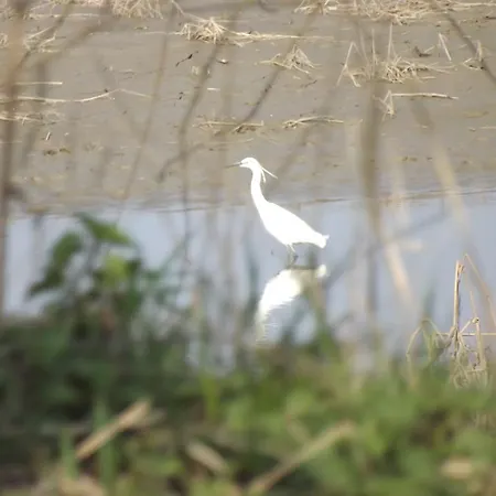 Agriturismo Cascina Nuova Vakantieboerderij Valenza