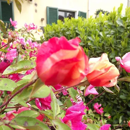 Agriturismo Cascina Nuova