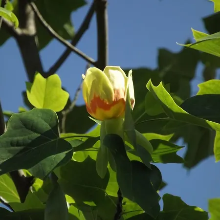 Agriturismo Cascina Nuova Vakantieboerderij Valenza