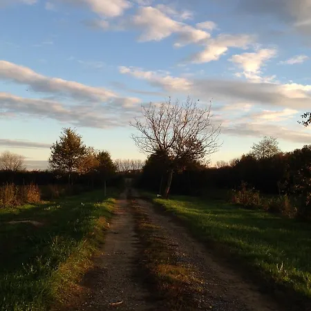 Agriturismo Cascina Nuova Farm stay *