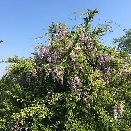 Agriturismo Cascina Nuova Κατάλυμα σε φάρμα