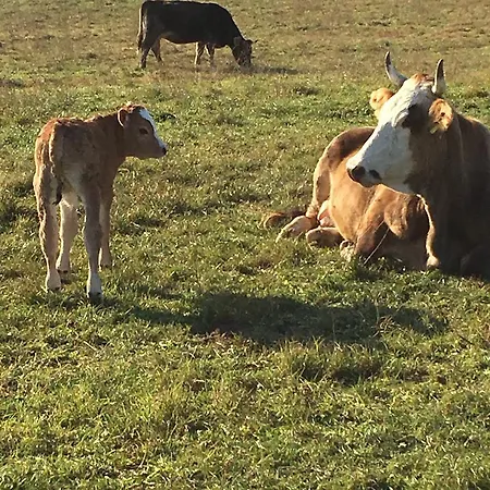 Vakantieboerderij Agriturismo Cascina Nuova