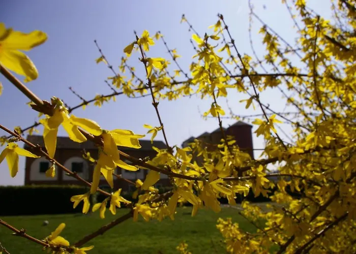 Agriturismo Cascina Nuova