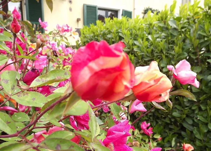 Agriturismo Cascina Nuova
